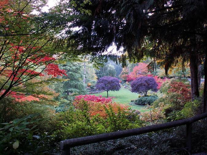 garden garden