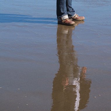 reflect reflect