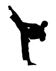 karate-3-1129312-m